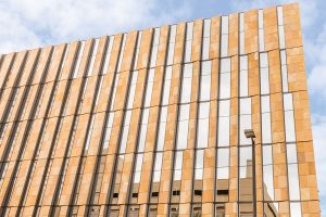 Arizona State University